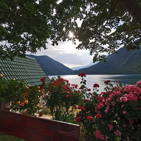 B&B Konak Plužine Exteriör bild