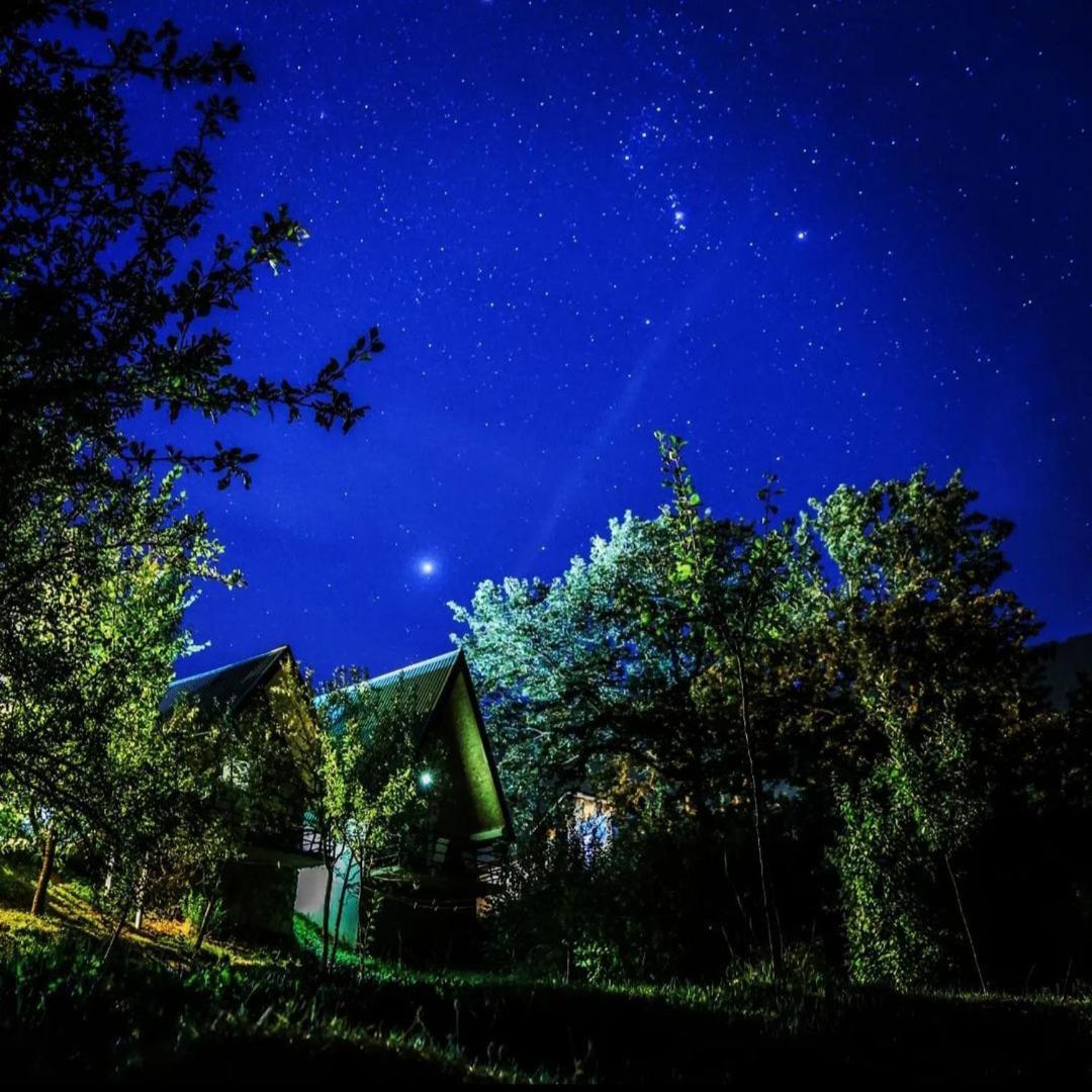 B&B Konak Plužine Exteriör bild