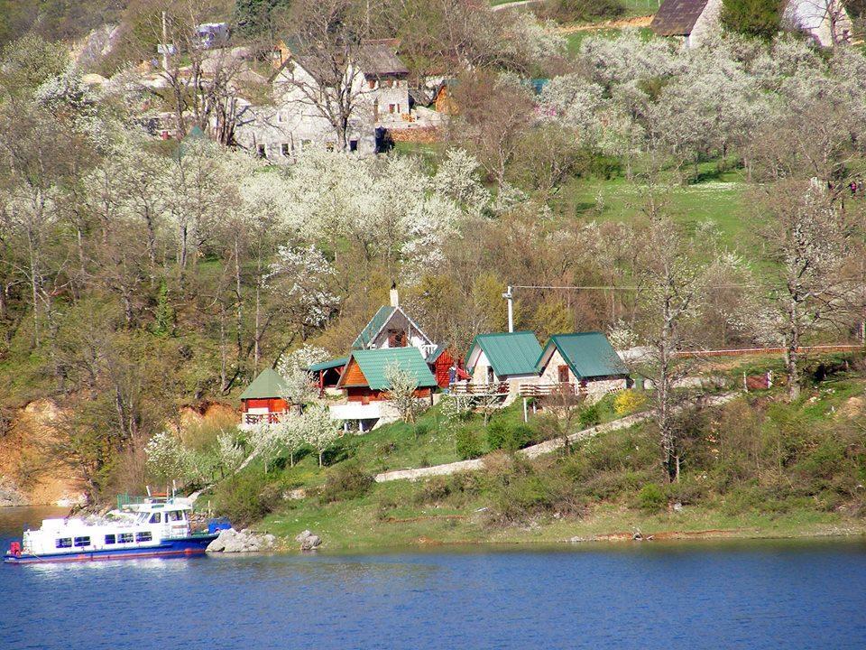 B&B Konak Plužine Exteriör bild